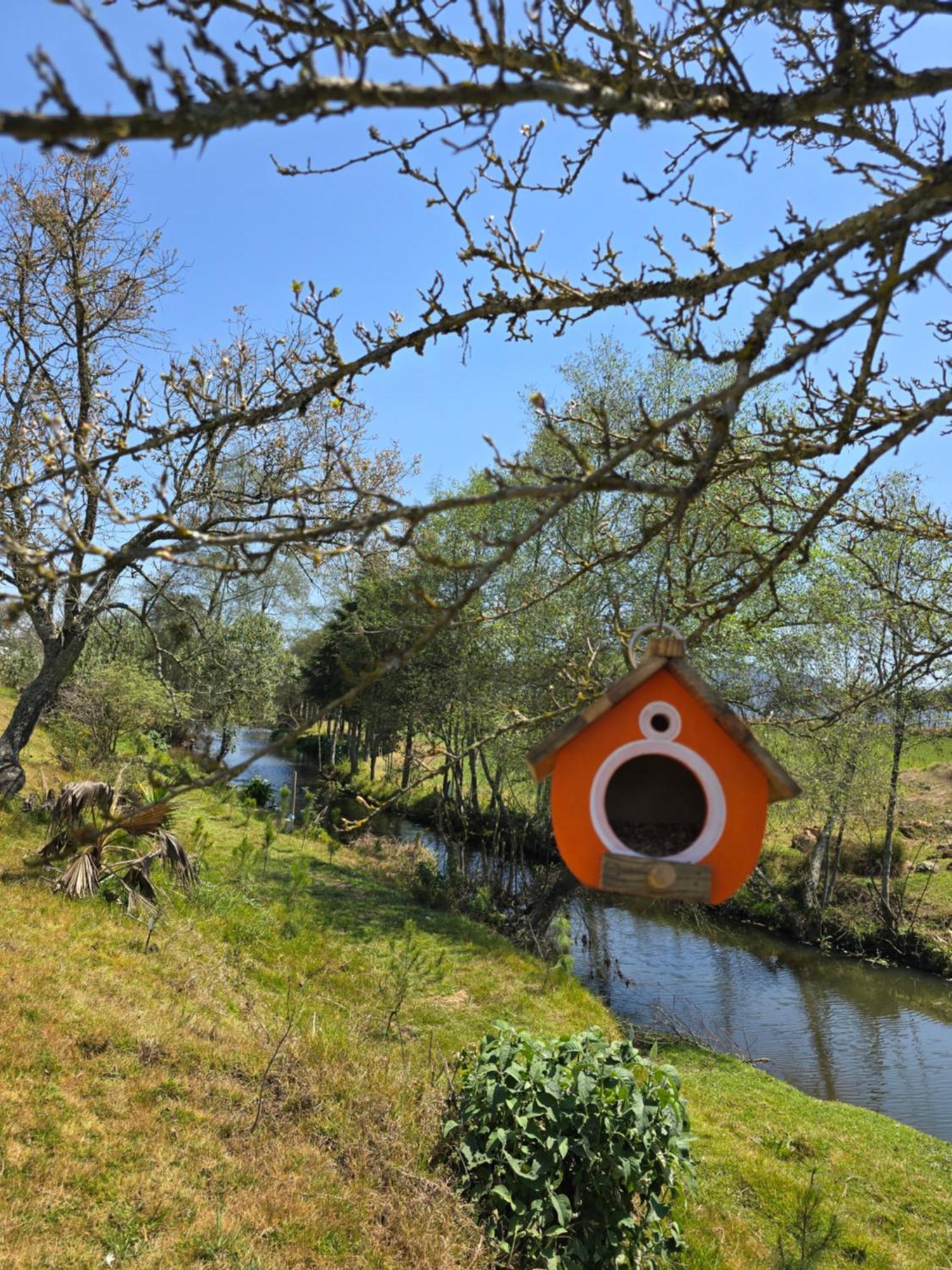 Cabana El Rio La Grande Zacatlán المظهر الخارجي الصورة